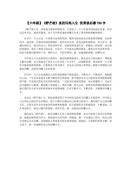 【六年级】《野芒坡》里的闪亮人生 优秀读后感700字