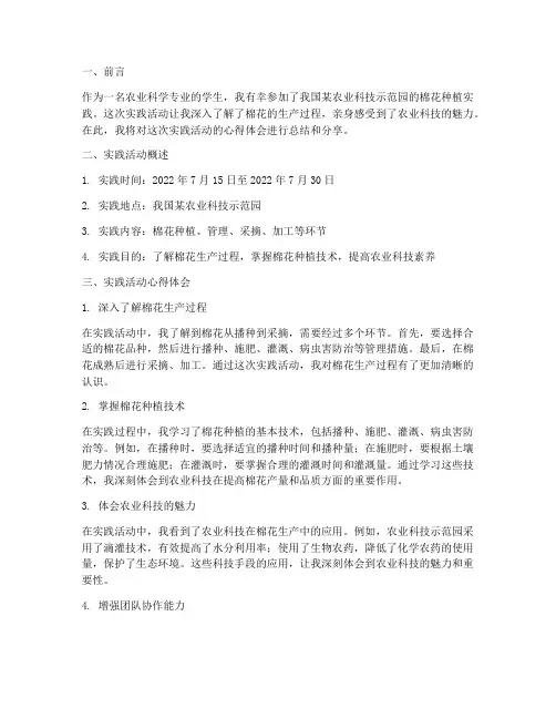 棉花实践报告心得体会