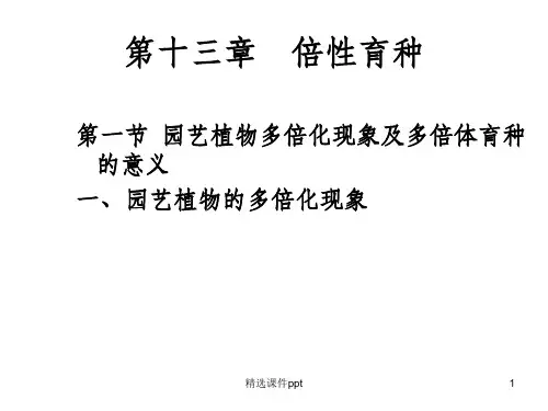 《倍性育种》PPT课件