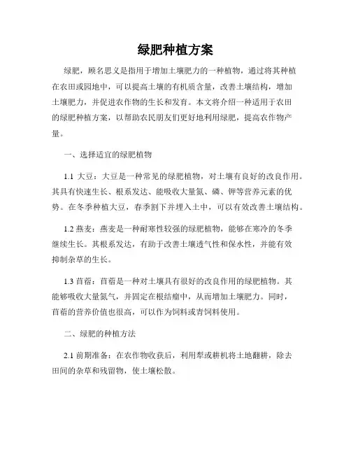 绿肥种植方案