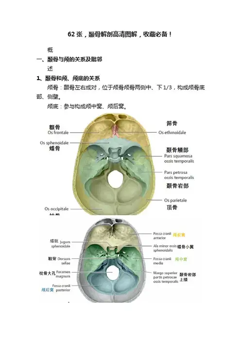 62张，颞骨解剖高清图解，收藏必备！