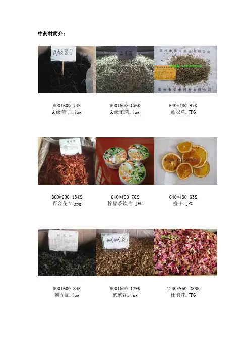 中药材简介