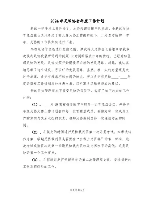 2024年足球协会年度工作计划（二篇）