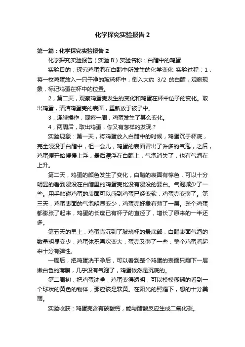 化学探究实验报告2