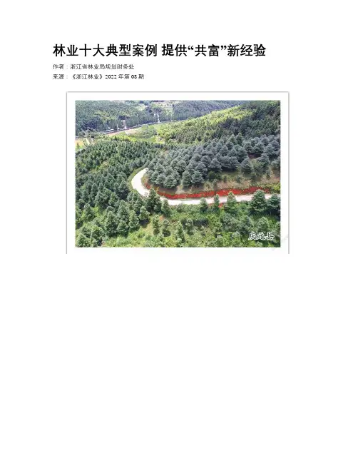 林业十大典型案例 提供“共富”新经验