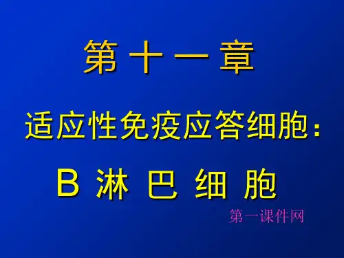最新医学免疫学B淋巴细胞精品PPT教学课件