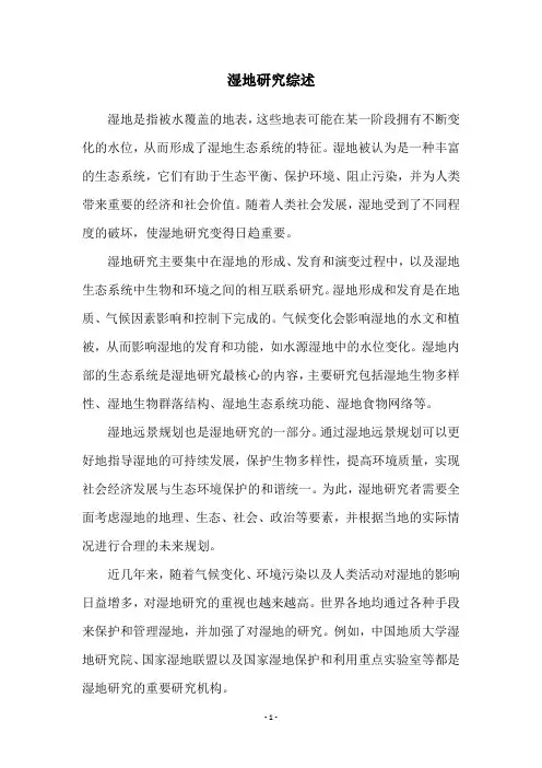 湿地研究综述