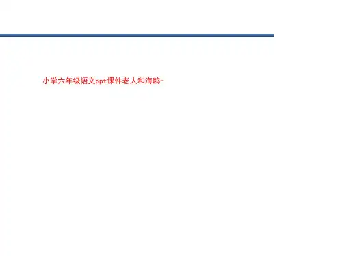 小学六年级语文ppt课件老人和海鸥-