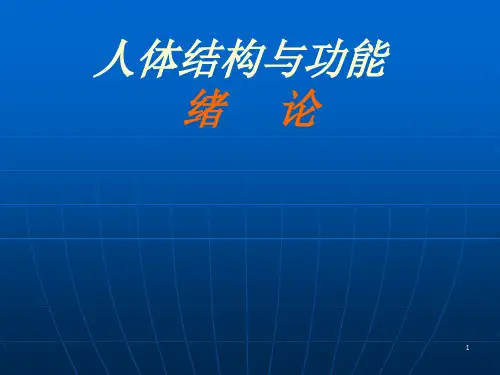 人体结构与功能ppt课件