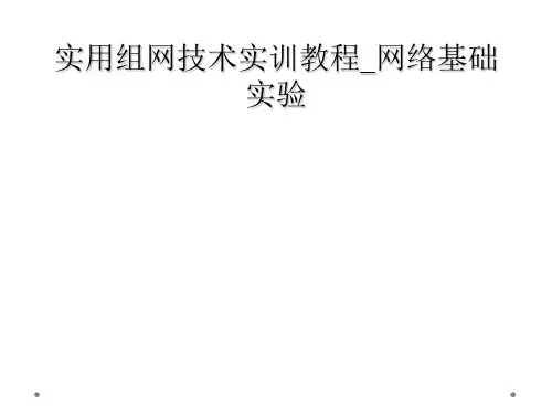 实用组网技术实训教程_网络基础实验