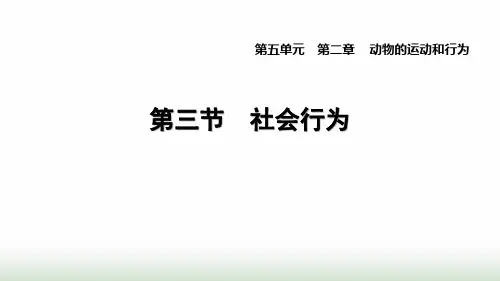 人教版八年级生物上册第五单元第二章2.3社会行为课件