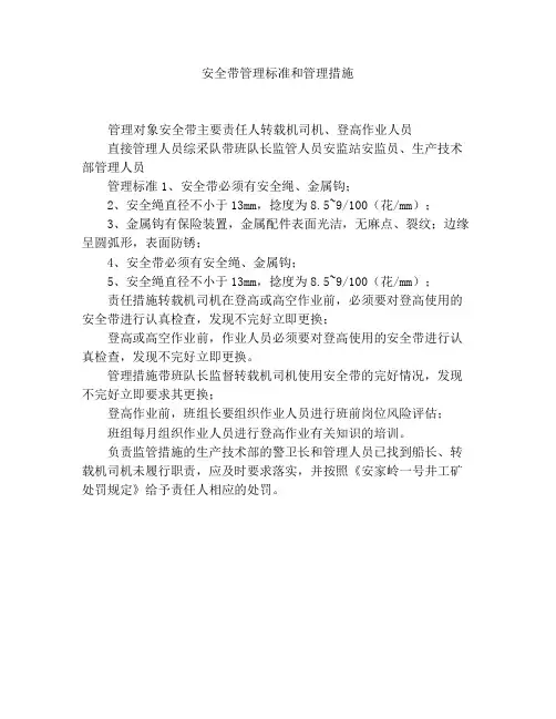 安全带的管理标准与管理措施