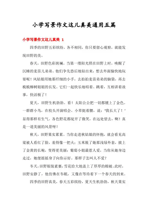 小学写景作文这儿真美通用五篇