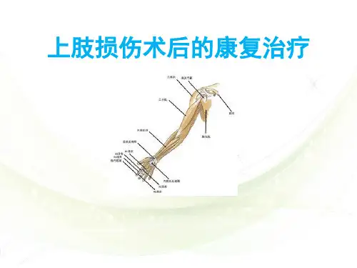 上肢损伤术后的康复治疗