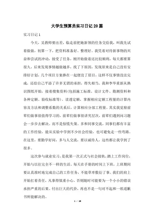 大学生预算员实习日记20篇