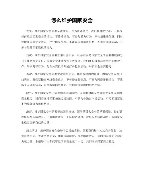 怎么维护国家安全