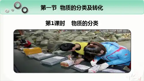 物质的分类物质的分类及转化ppt课件(完美版)