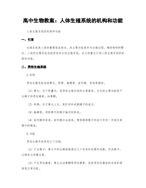 高中生物教案：人体生殖系统的机构和功能