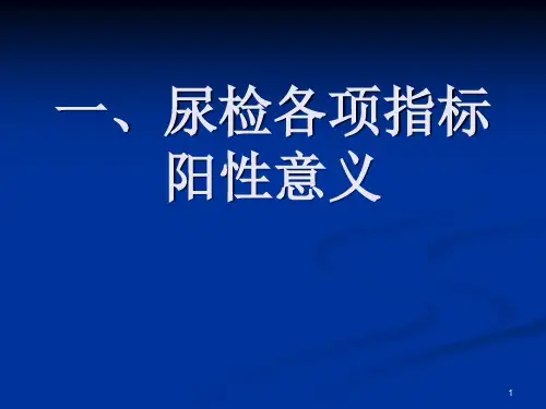 尿常规常规知识ppt课件