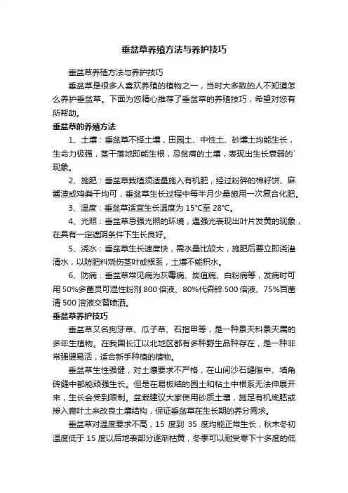 垂盆草养殖方法与养护技巧
