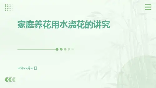 家庭养花用水浇花的讲究