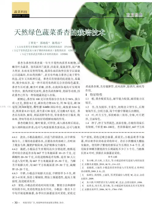 天然绿色蔬菜番杏的栽培技术