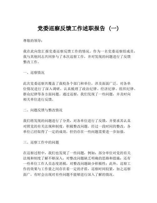 党委巡察反馈工作述职报告 (一)