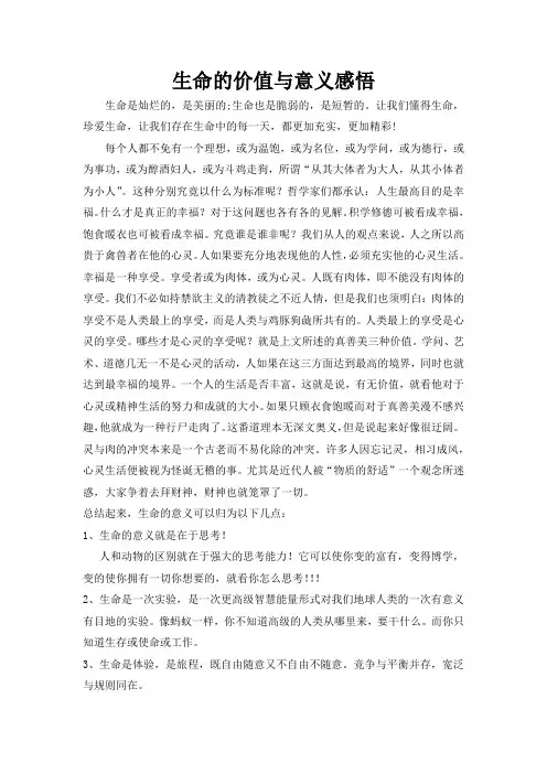 生命的价值与意义感悟