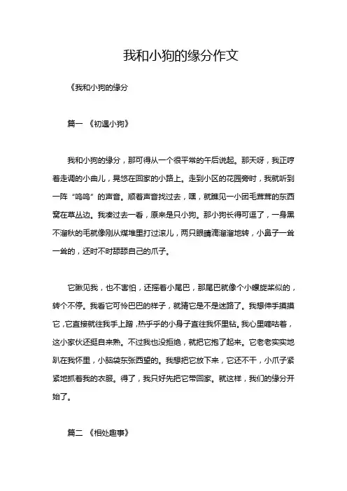 我和小狗的缘分作文