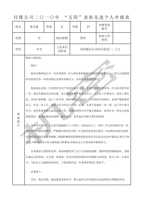五四表彰先进个人申报表