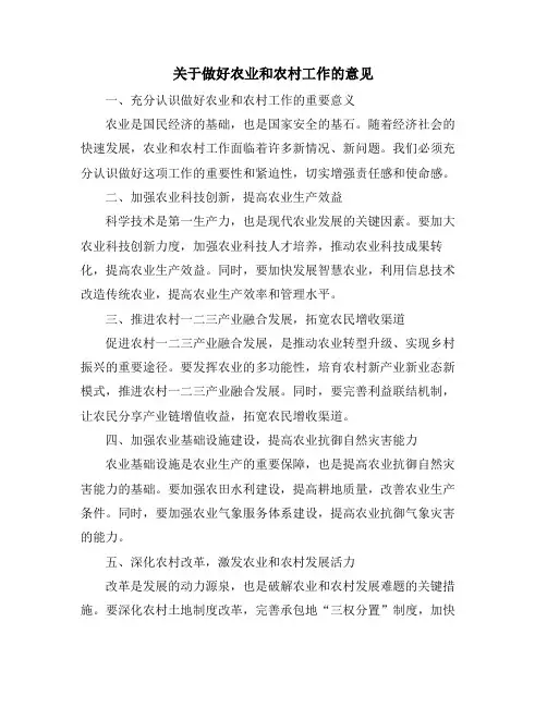 关于做好农业和农村工作的意见
