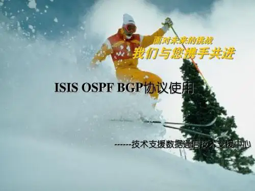 ospf-isis-bgp路由协议培训V2.0