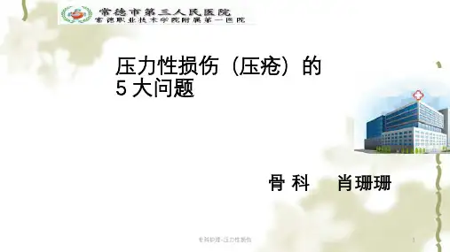 专科护理-压力性损伤ppt课件