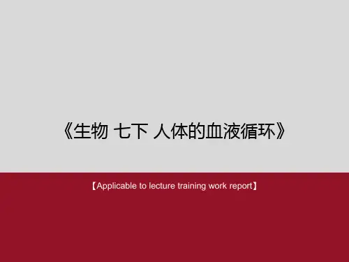 《生物 七下 人体的血液循环》PPT课件