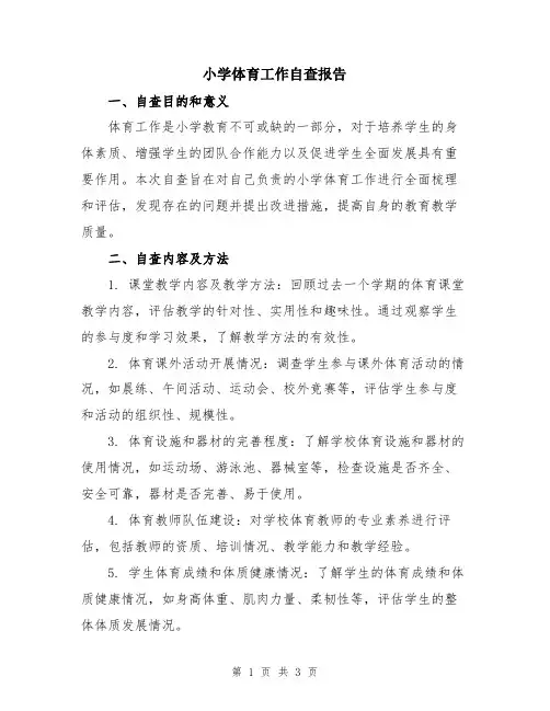 小学体育工作自查报告