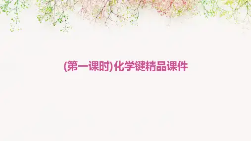 (第一课时)化学键精品课件