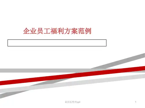 企业员工福利方案范例ppt课件
