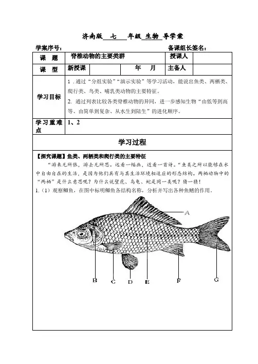 济南版生物七年级上册2.2.2脊椎动物的主要类群(导学案)