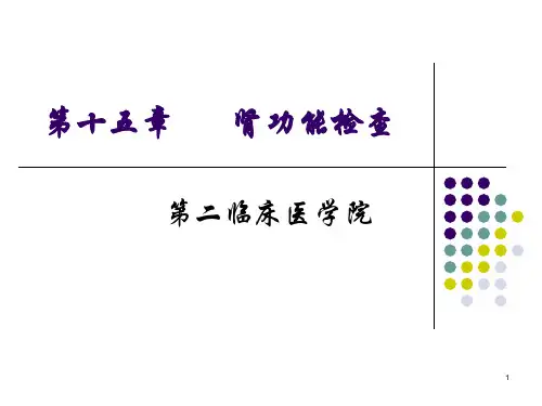 肾功能检查教课PPT课件