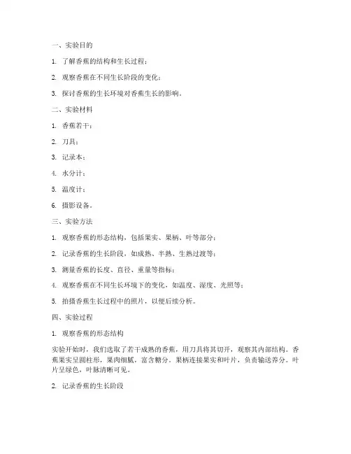 观察香蕉的实验报告