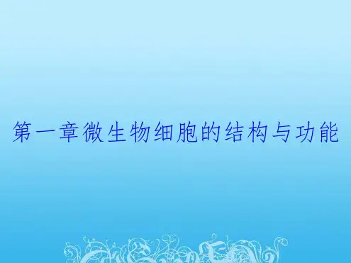 第一章微生物细胞的结构与功能