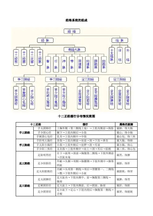 十二经络学习资料