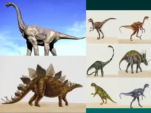 人教版生物八下3.3《生物进化的原因》课件 (共34张PPT)
