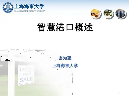智慧港口概述PPT精选文档