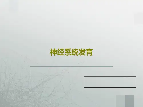 神经系统发育88页PPT