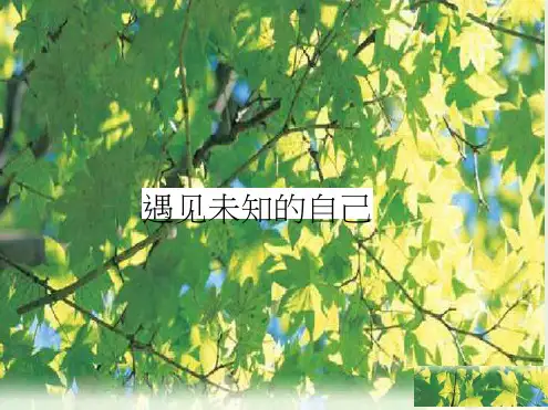 心理辅导课程课件PPT