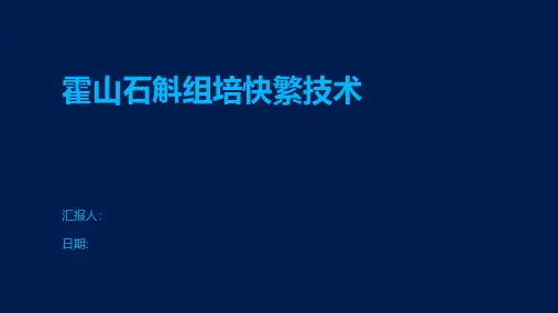 霍山石斛组培快繁技术