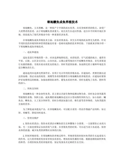 寒地鳜鱼成鱼养殖技术