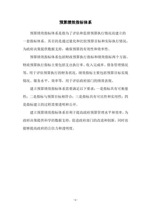 预算绩效指标体系