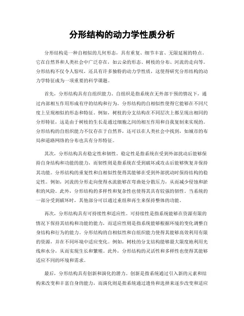 分形结构的动力学性质分析